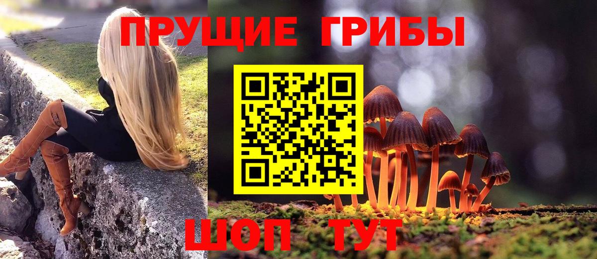 Петропавловск-Камчатский  Галлюциногенные грибы GOLDEN TEACHER  Вход с VPN  Псилоцибиновые грибы ЛСД 