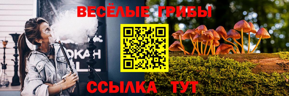 Псилоцибиновые грибы мухоморы Петропавловск-Камчатский