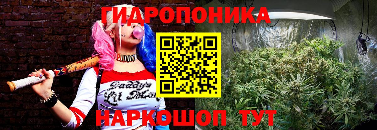Конопля планчик Петропавловск-Камчатский
